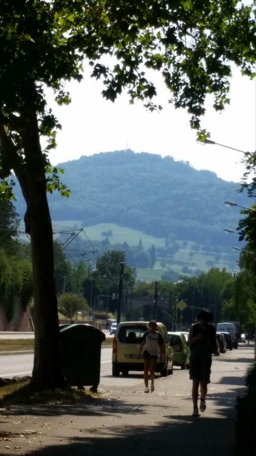 City Appartement 5 Φράιμπουργκ Εξωτερικό φωτογραφία